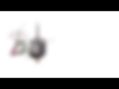 Motor deslizante híbrido bipolar do diâmetro do NEMA 8 20mm