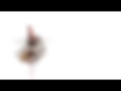 fase de 10mm Mini Permanent Magnet Stepper Motor 5v 2 18 graus