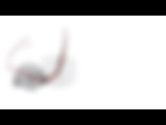 Motor deslizante bifásico do progresso alto com ângulo de uma etapa do diâmetro de 35 milímetros e dos 15 graus